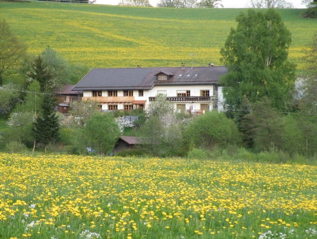 Pension Landhaus Riedelstein Drachselsried Exterior photo
