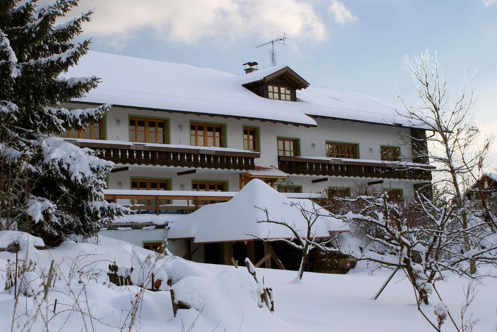 Pension Landhaus Riedelstein Drachselsried Exterior photo